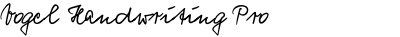 Vogel Handwriting Pro